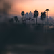 Lost Serenity