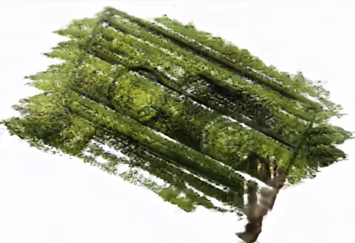 Item #34571563386459127761261740546366153221129147098234432782485651000560728408065 Media