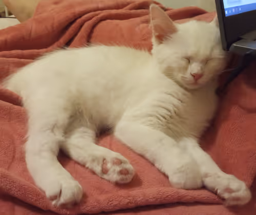 Item #763224073280193224173041358155125596503139434424356380946212165158178914305 Media