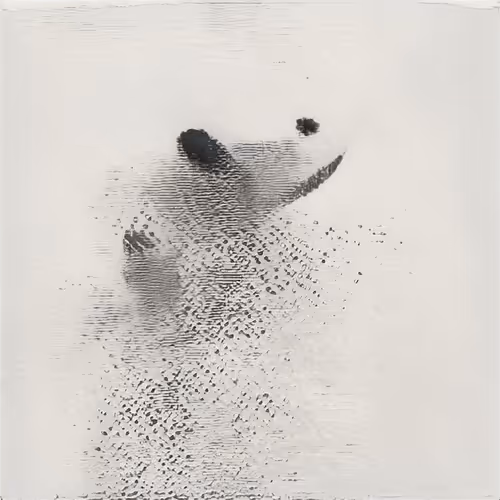 Item #45589577577941715335372423090131381773964400555875612772856059598041335726081 Media