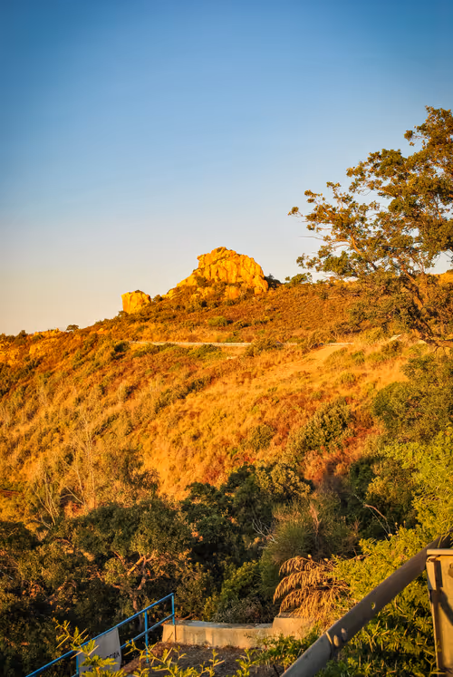 Item #112140504349659096597186226025137541107846911369797324703227254187683360014337 Media