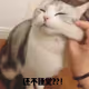 rrr18