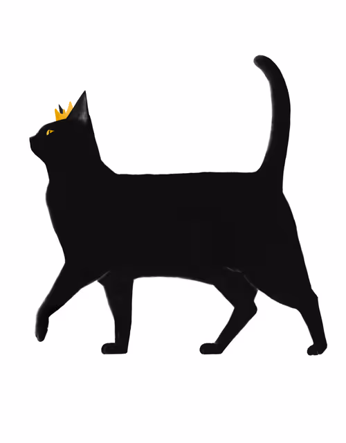 Item #24618594739772325081071012251968077253983773594612099830659053138116731731978 Media