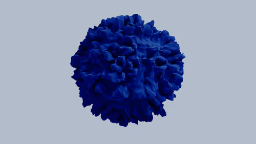 Item #110447126717269959114651305457987288566157368429336300964585713831766875176961 Media