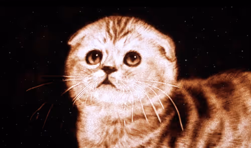 Item #64547877753568412469425259004769380681143227933510953498710243234885251629057 Media