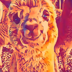 alpaca Jogi cartoon