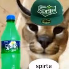 spriter