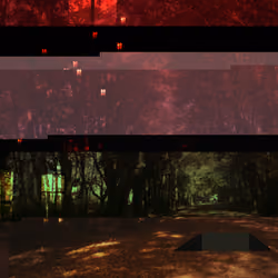 Forest 2