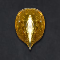 Gold Bug