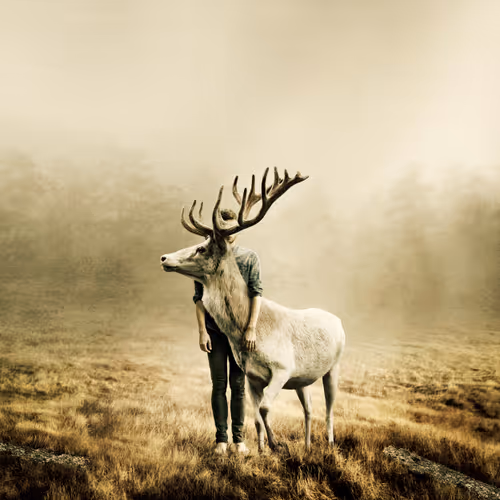 Item #106458335248206439208009711256162525966669270428378996630819471342877978656769 Media