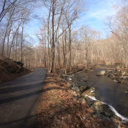 Ridley Creek #10