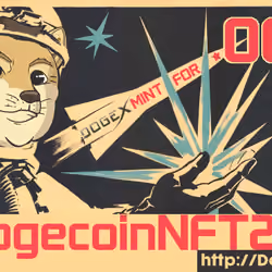 DogeX Art Contest Winning Flyer 
