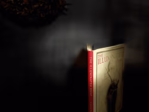 Muse Bandit Books  *Open Collection*