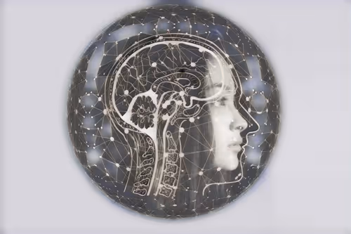 Item #75164984898551115248887010361709320867309151549896276985250492399558412206081 Media