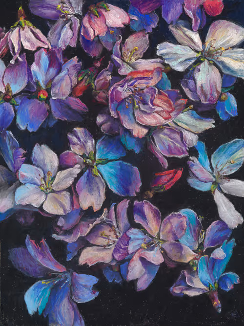 Item #73191386655180771192886905087530766923476055273754924419744770958575974481921 Media