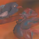 104318251647958436411195055614671773850559292574494969658531641843434509041735