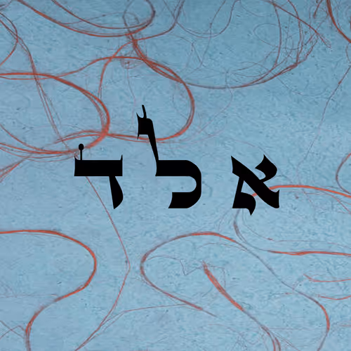 Item #60261209402415139582755570421670089329548312864668202741056926944375479468033 Media