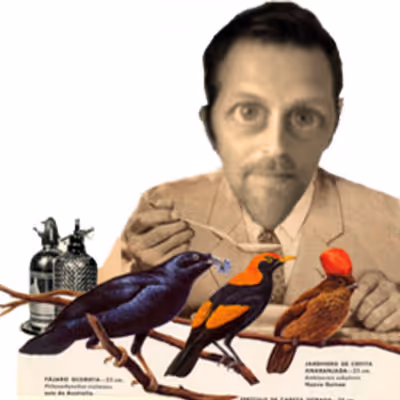 Untitled Collection #396377757