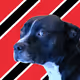 648008096045867044483137489329882592233555462946033952975388125684857569281
