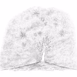 13934243290529806368964585825036521935178473085357694684673957315099848867841