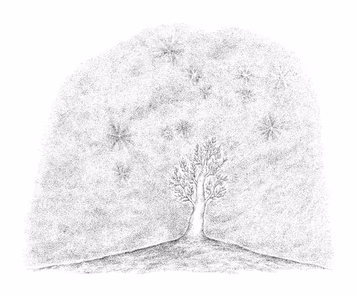 Item #13934243290529806368964585825036521935178473085357694684673957315099848867841 Media