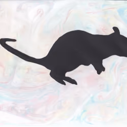 Japanese Zodiac＃１　mouse（With background）　干支＃１　ネズミ（背景付き）