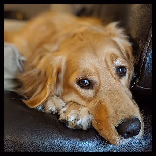 Item #106495276592435919470568425369488009874844936823784433162656833212748849479681 Media