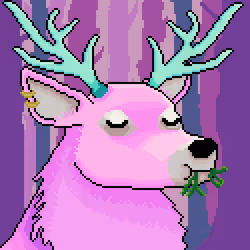 80861506752070585494278743182510882021554649669203217003226950978292420706305