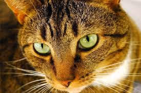 Untitled Collection #170946443