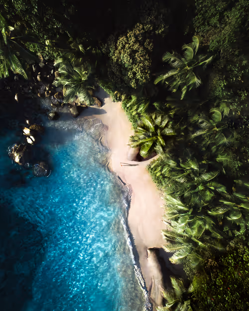 Item #114166721210055605781368580265511700861033361648236924870023126198604867305473 Media