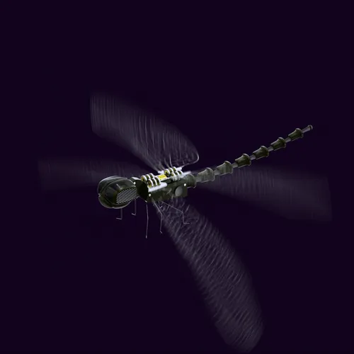 Item #59221695809999844932868241311026825972511777315967343673418626813439688835073 Media