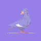 110945334334062783106756672987001850048310114133861008275448055612475028013057