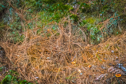 Item #78614967916850878758896281278088562819031429561597845143063368069577944596481 Media