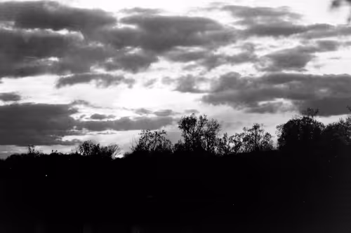 Item #102681073820549918018156706383720612658195698549287552323172903088450233696257 Media