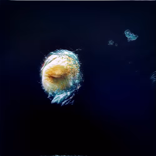 Item #84457744602723809043049191225279009657327463478214710277063869842683848556545 Media