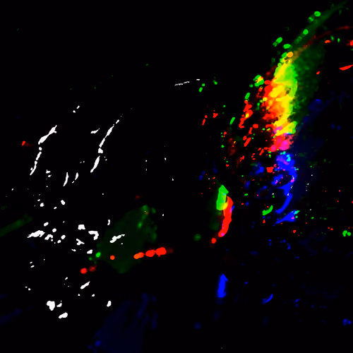 RGB Augur 07