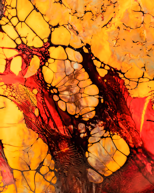 Item #29687457692452421683916759570224124960174280340362343155839281683853140295681 Media