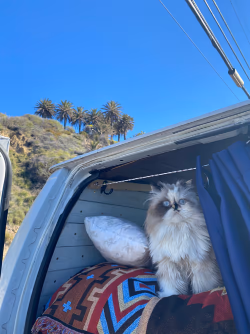 Item #88063557034118437660925886446302507819426649905583175627315428961907908804609 Media