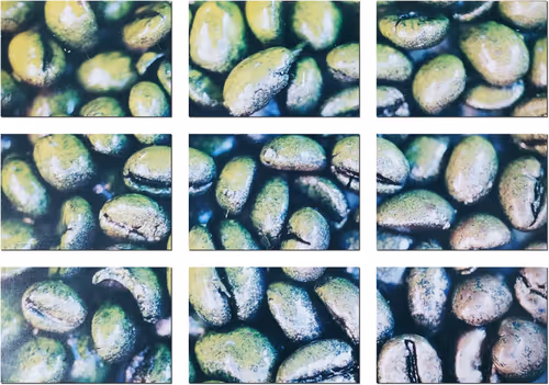 Item #39425846421802280996231740338929997167545085552399292352466571972485507448833 Media