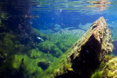 Item #25422583313571458459737529461820134862175223810011730482418987933239118659585 Media