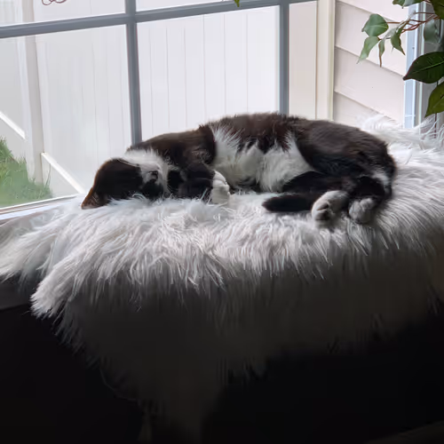 Untitled Collection #66341830