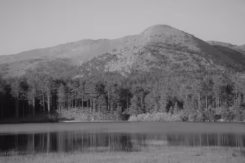 Item #56015220095255028336580313755644493960424571570060330711826245858291181682689 Media