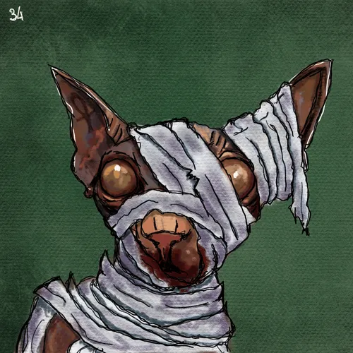 Item #93286448579747295008687894214958177990168199227657113304386886694507976327169 Media