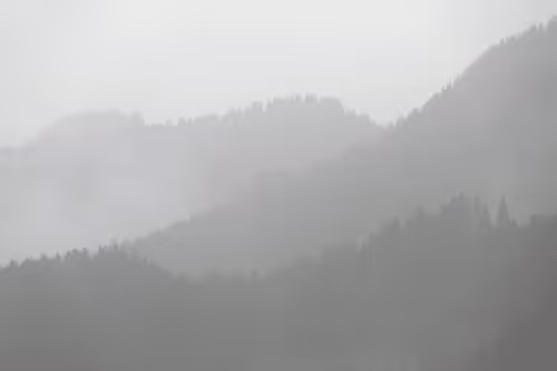 2021 Legacy - Ever Growing Rubli