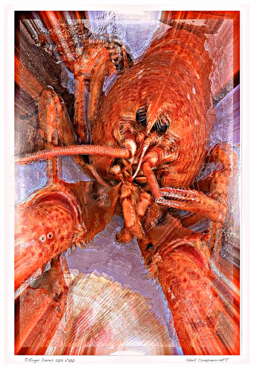 Item #6968899724388266606176016145545160509277227480062482001621938704056850579556 Media