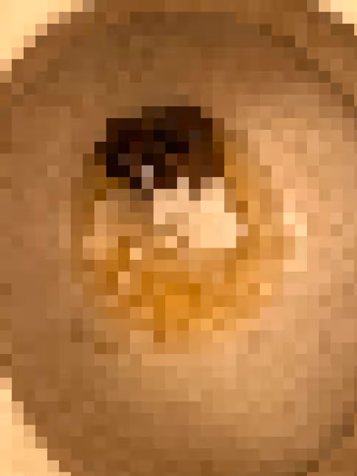 Item #2850415134272365380187775685678842410458265265709128331682257676700072542209 Media