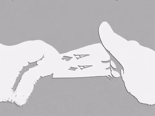 Item #58335230524364204556041801716615491064093466285791194525677446510618370637825 Media