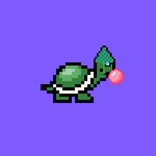 Turtle #642