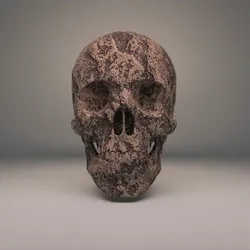 Skull #4