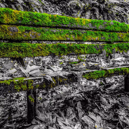 20976301758881134831989222665278936219784108903075361536191037521642764894209